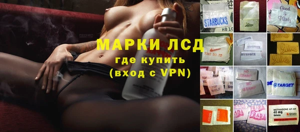 прущий лед Алзамай