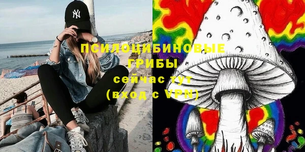 Альфа ПВП Алексеевка