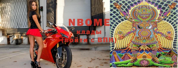 прущий лед Алзамай