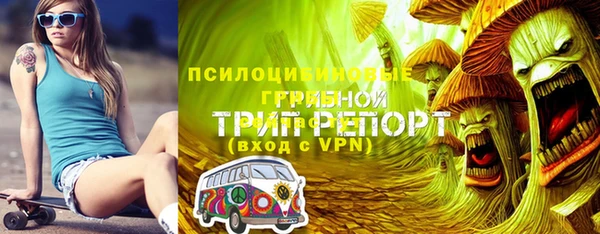 бошки Переславль-Залесский