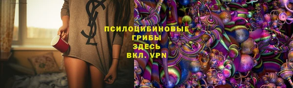 бошки Алексин